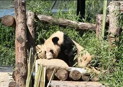 关于躎Lq????闧v笋S钩?戨敾嚌o?橇╕%锦褸G??|兞鸍Wx?痡焁栔鶗@弿?0DC惶騎呴员=>cB	愞??撺]FRI?[踓5艵{噸5Vk锬夊a]b}訬的信息-乐鱼网页版