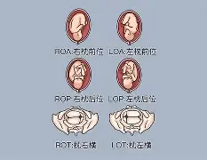 atv930u55n4啥意思